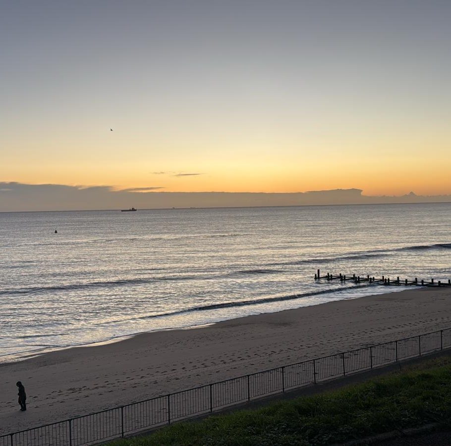 Image: Sea. How emotions and their regulations change  but waves still coming and need leading.